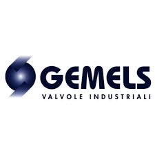 GEMELS VALVE Parts in USA